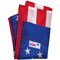 Valley Forge Valley Forge American Flag Set 30 in. H X 4 ft. W 9900ACE - alternate 2